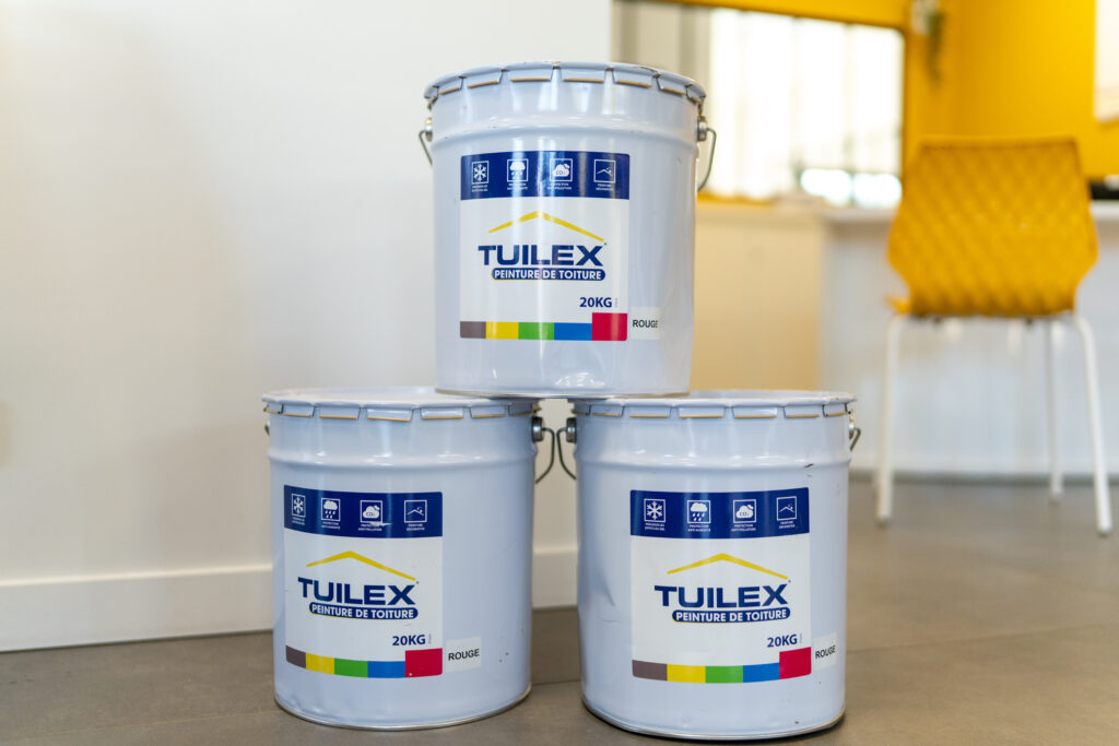 Peinture de toit tuilex